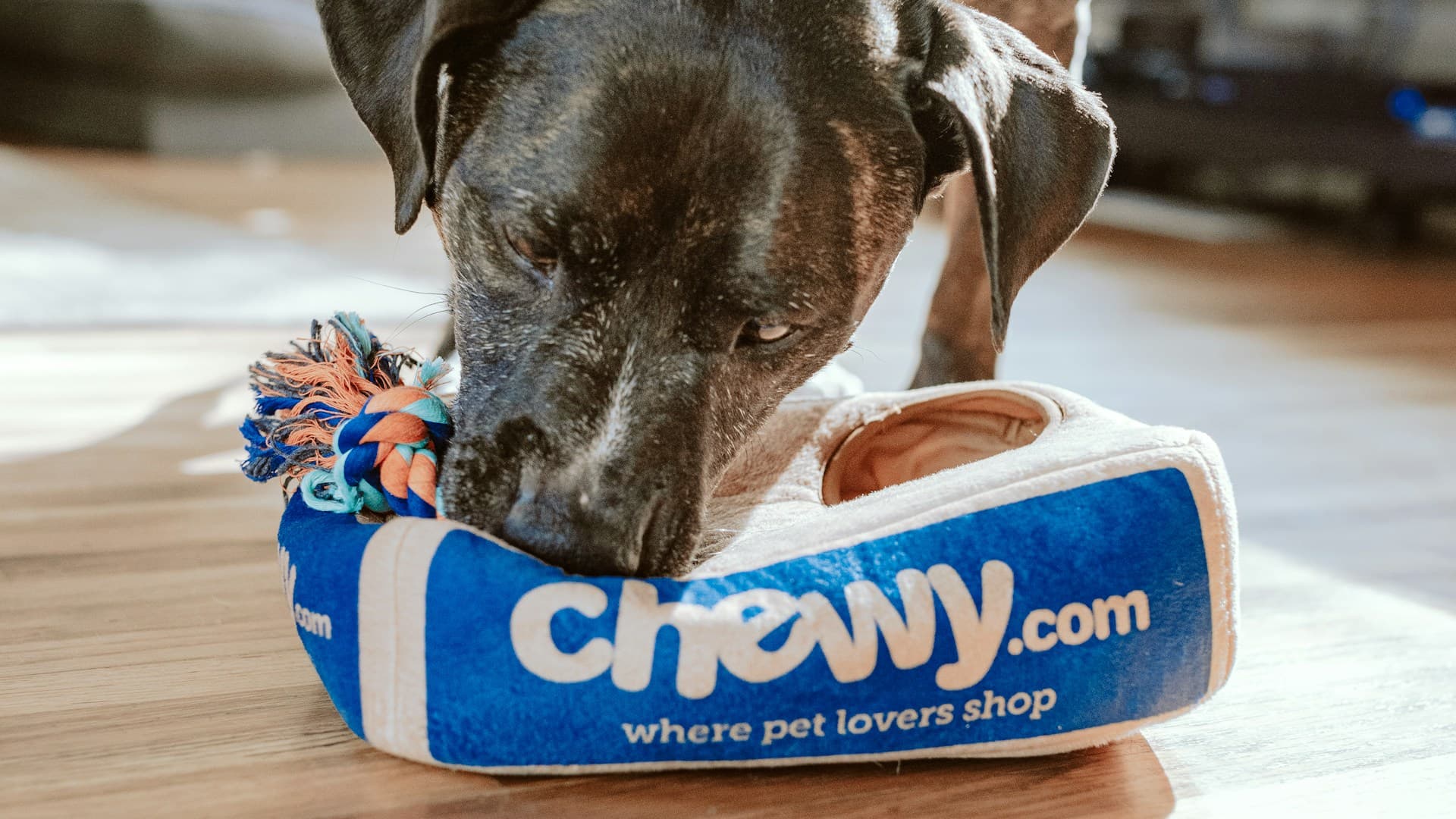 Hoteli za Kućne Ljubimce